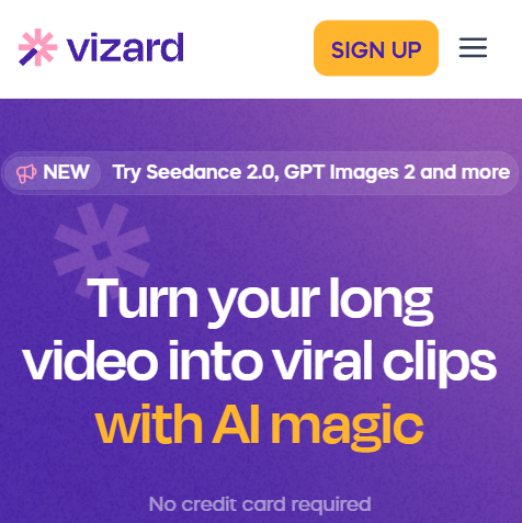 Vizard