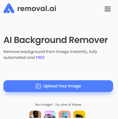 Removal.AI