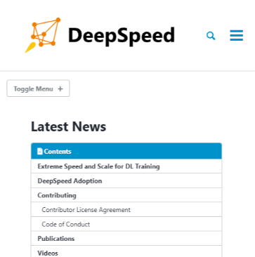 DeepSpeed