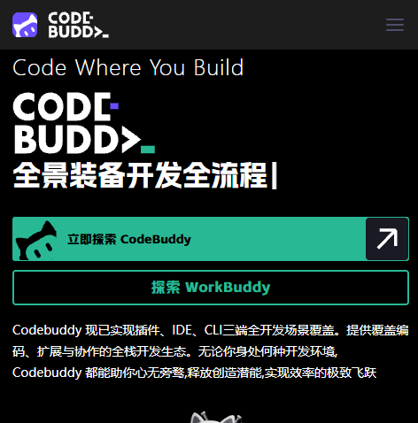 CodeBuddy