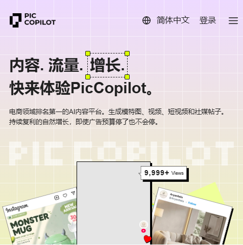 Pic Copilot