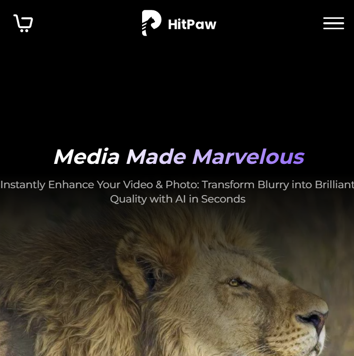 HitPaw