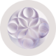 Watsonx.ai